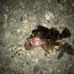 出勤前に。 part12