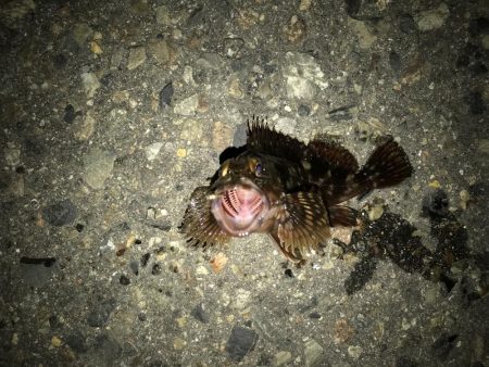 出勤前に。 part12