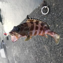 水潮ライトロック