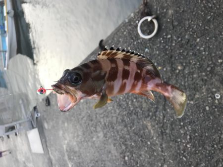 水潮ライトロック