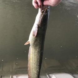大雨、半端ないって
