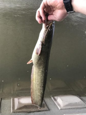 大雨、半端ないって