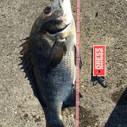 テトラで落とし込み