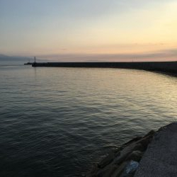 クーラー持ってないときに限ってアコウ