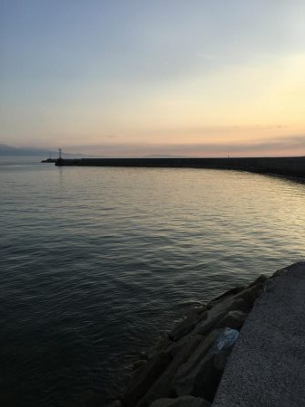 クーラー持ってないときに限ってアコウ