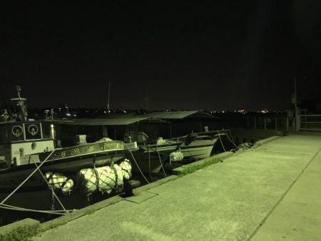 ベイトリールでの初タコだぜ❗️