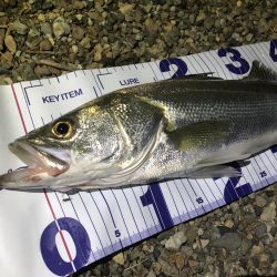 豪雨後イマイチ