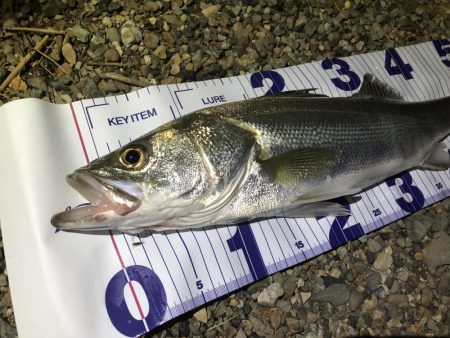 豪雨後イマイチ