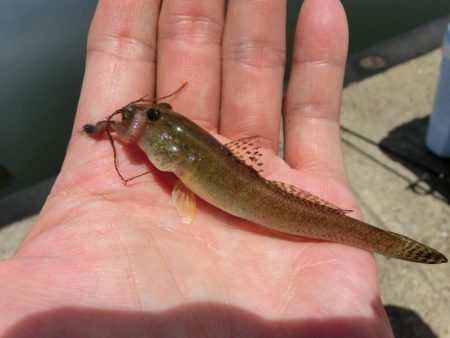 猛暑短時間キス狙い