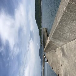 キス釣りのはずが、、、