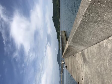 キス釣りのはずが、、、