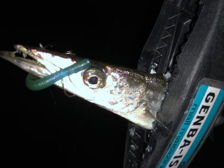 ちょこっとフィッシング！