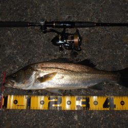 スーパーボイル&ライズ!!。