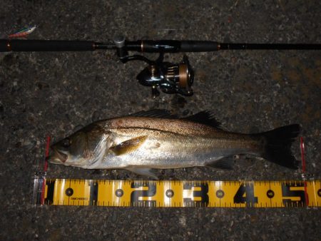 スーパーボイル＆ライズ！！。