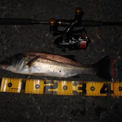 渋い時はVJ-16の出番？。