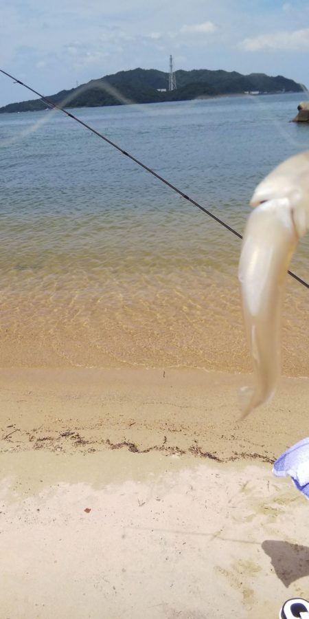 午後からチョイ投げ