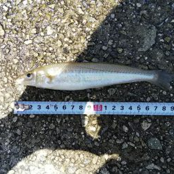 ファミリーキッシング