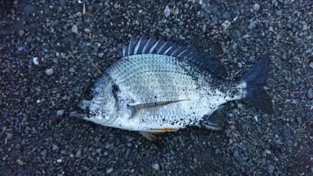 へち釣り講座を受けながら