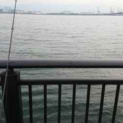 予想より大きいやつがキター