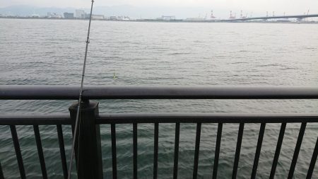 予想より大きいやつがキター