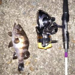 久々のみんなでメバリング♪