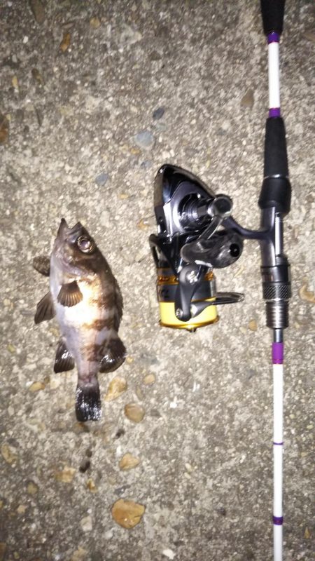 久々のみんなでメバリング♪