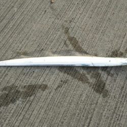 【新門司】タチウオ調査