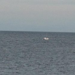 久しぶりの釣果