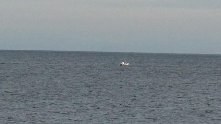 久しぶりの釣果