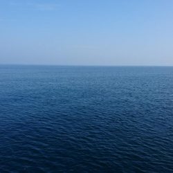 ミニサイズですが。