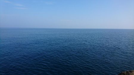 ミニサイズですが。