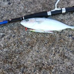 ショアジギング!