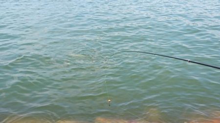 猛暑・海の日・チヌ