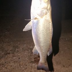 ゆっくり釣りしたい