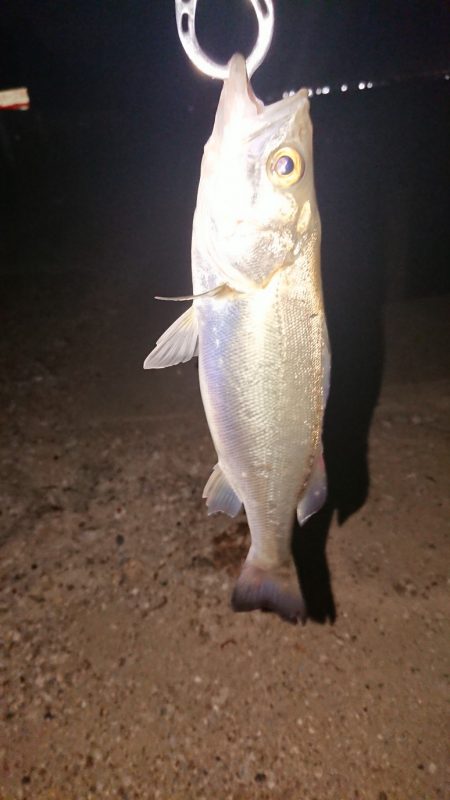 ゆっくり釣りしたい