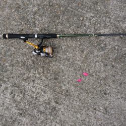 やっと来た？キス釣り