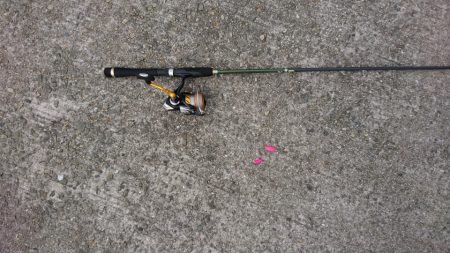 やっと来た？キス釣り