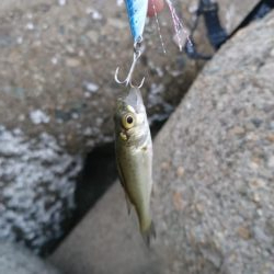 マイクロづくし