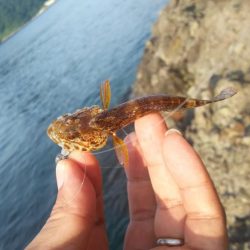 日本海ロック釣行