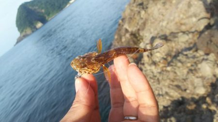 日本海ロック釣行