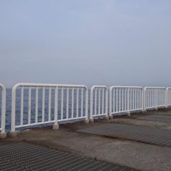 アジとサバのみ