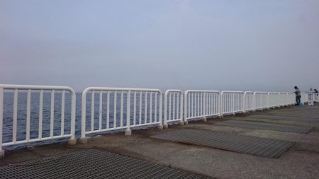 アジとサバのみ