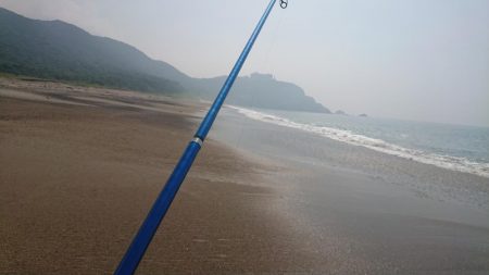 キス釣りも回復の兆し