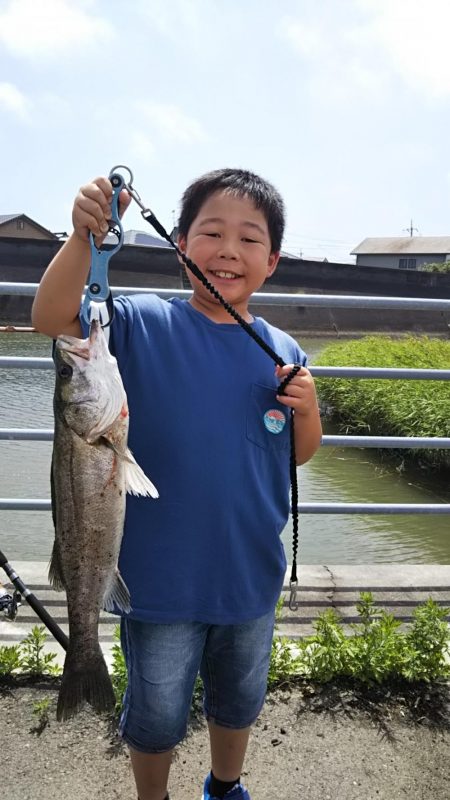 子供たちとシーバスフィッシング