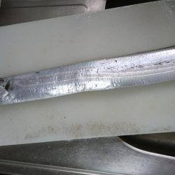 ワインド、LSJ釣果