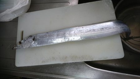 ワインド、LSJ釣果