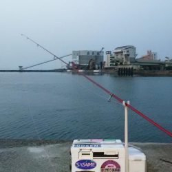 志筑川護岸でキス狙い