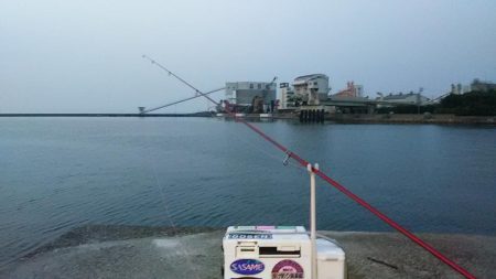 志筑川護岸でキス狙い