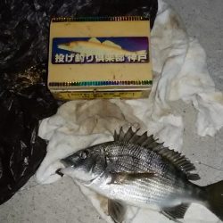 浦港でキス狙い