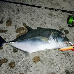 強風が収まり17日ぶりの釣果